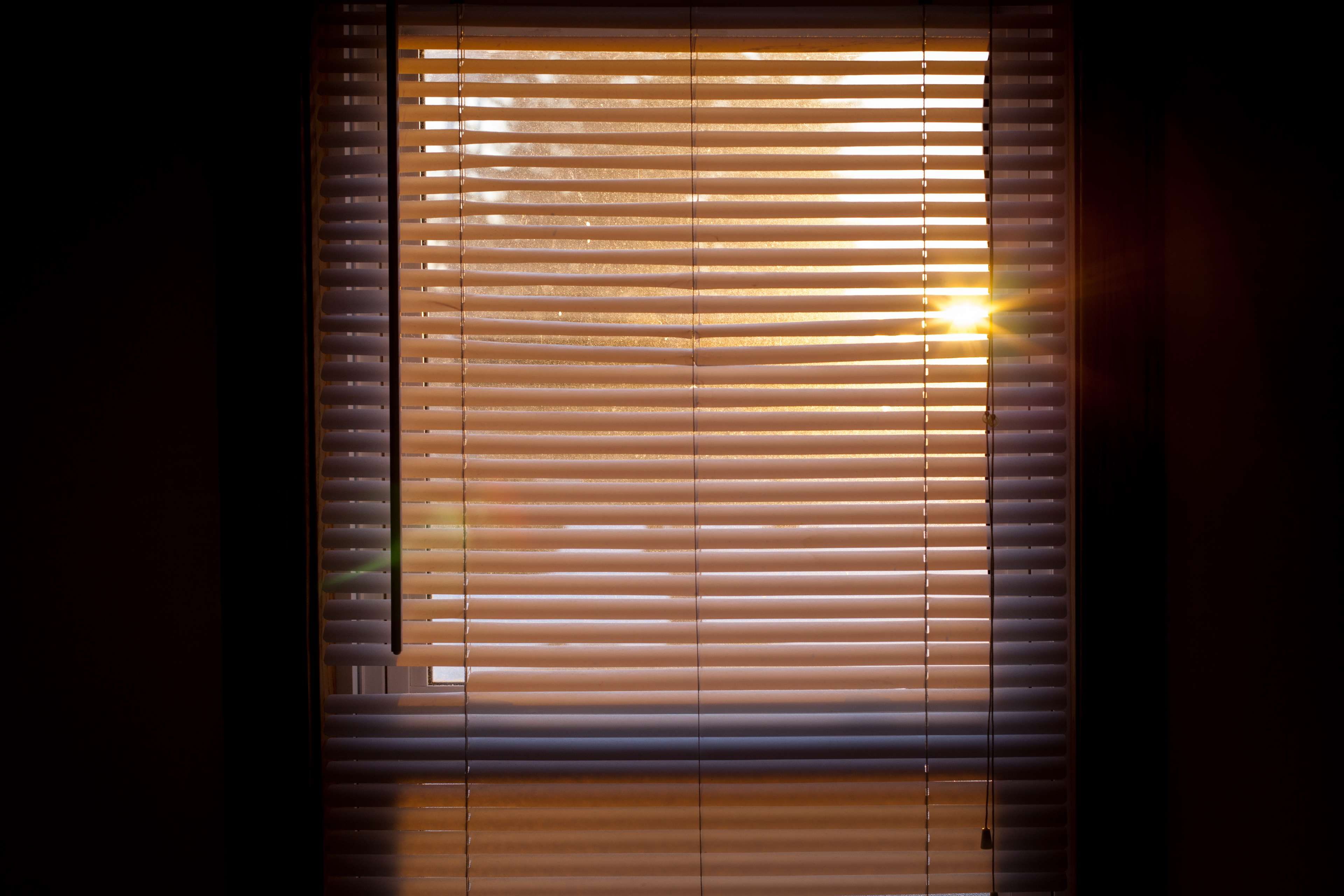 Customize 3D Wall Paper